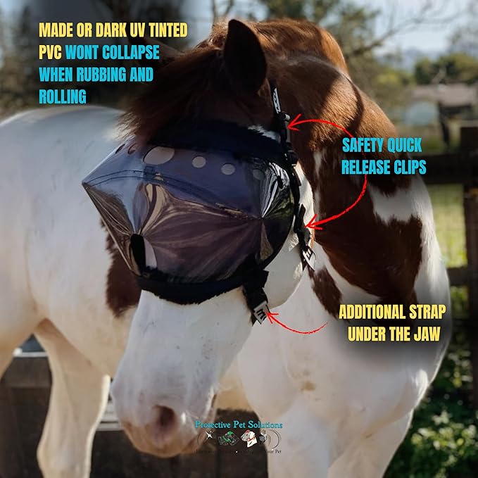 Recovery Vizor, (Size: Mini/Foal - Dark UV Tint) Medical and Preventative Horse Eye (Goggle) Protection Mask for Uveitis/Injury/Scratch or Corneal Ulcer, Infection, Blindness.