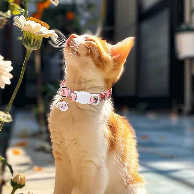 Unique Style Paws Christmas Kitten Collar,2 Pack Cat Collar for Girl Cats with Flower Pattern,Breakaway Cat Collar with Bell,Cute Paw Pendant,Ideal Gift for Boy Girl Cats