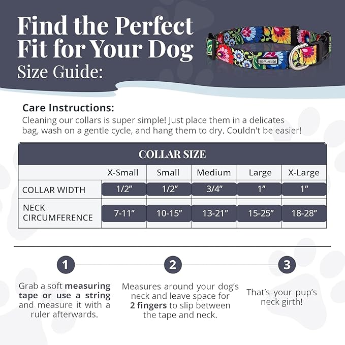 Lucky Love Dog - Easy Click Buckle Dog Collar with Leash Set Combo, Durable & Comfortable for Male & Female Dogs, Pet Collar for Small Dogs, Secure Fit - Lilian Combo, XS
