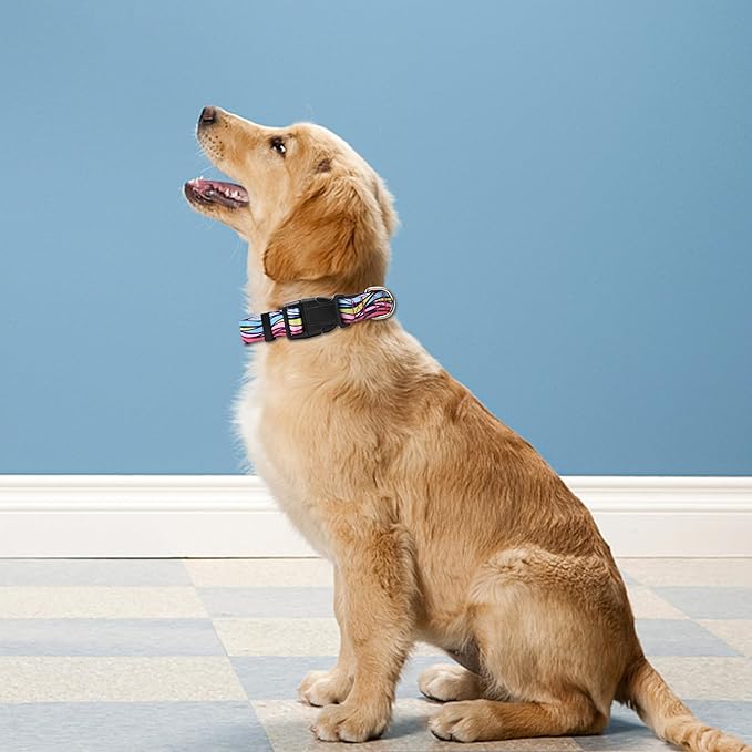 Reflective Dog Collar, Adjustable Soft Neoprene Padded Nylon Pet Collars with Buckle for Puppy and Small Dogs, Cats, Colorful Wave Pattern,L
