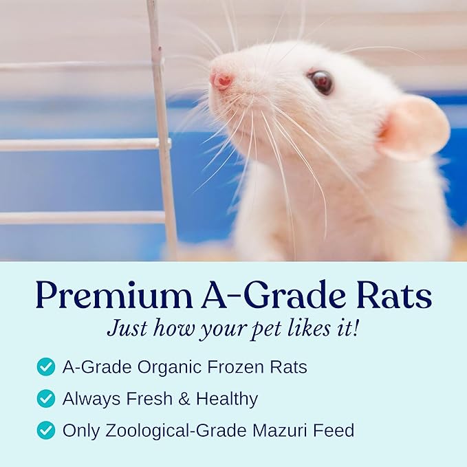MiceDirect Frozen Rat Pups Snake Food - Frozen Rats For Snakes Like Adult Corn Snakes, Juvenile & Adult Ball Pythons, Sub-Adult Red Tail Boas, Monitor, Lizards, Birds of Prey - 2.5-3.5 in (5 Count)