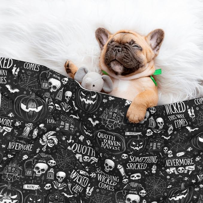 Dog Cat Blanket Double Sided, Halloween Witchcraft Witch Pumpkin Spider Web Bat Raven Magic Board Spirit Skull Skeleton Vintage Black, Plush with Raised Dot Pattern and Smooth Reverse for Cuddling