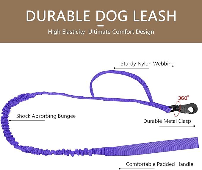 DAGANXI Tactical Dog Collar, Adjustable Military Training Nylon Dog Collar with Control Handle and Heavy Metal Buckle for Medium and Large Dogs, with Patches and Airtags Case (Purple-Set, L)