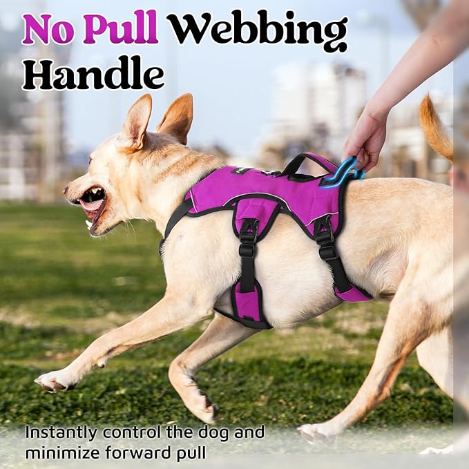 rabbitgoo Escape Proof Dog Harness, Soft Padded Full Body Pet Harness, Reflective Adjustable No Pull Vest with Lift Handle and Lesh Clip for Large Dogs Walking Hiking Training, L, Purple