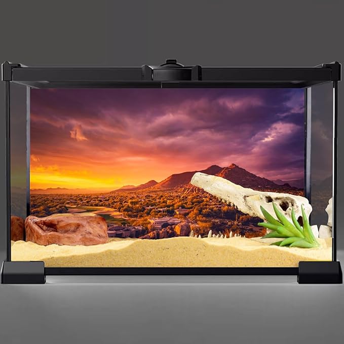 AWERT 48x24 inches Sun and Desert Terrarium Background Mountain Oasis Gobi Reptile Habitat Background Vinyl