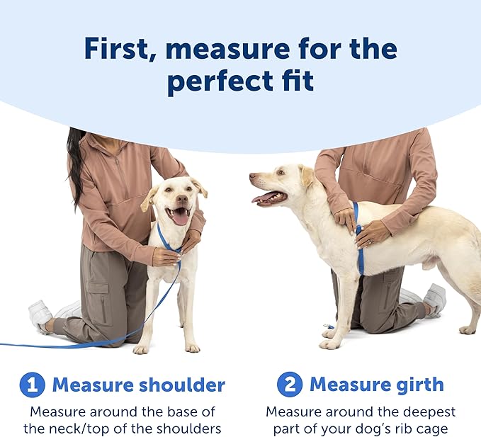 PetSafe Easy Walk Comfort No-Pull Dog Harness - Better Walk Training Harness - Full Body Padded Design - Durable Fabric - 5 Point Adjustable Fit - Everyday Leash Training - Black - Large