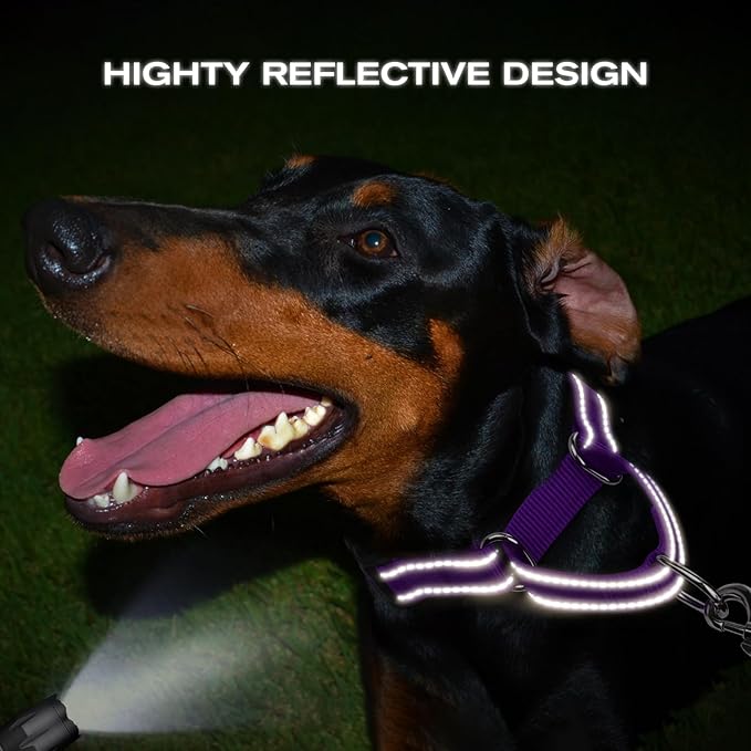 Joytale Martingale Collar for Dogs, Reflective Heavy Duty for Safety, Quick Release Buckle, Adjustable Nylon Collars for Small Dogs Walking Training, Purple, S