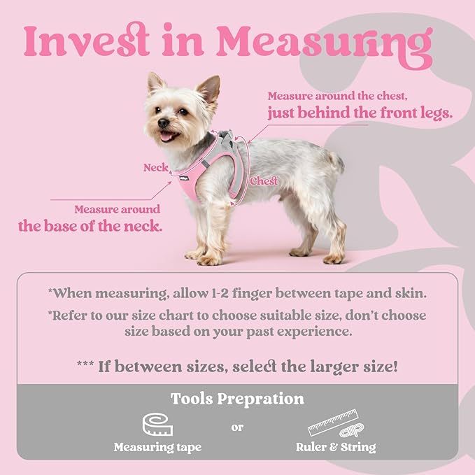 rabbitgoo Small Dog Harness, Step-in Soft Mesh Puppy Vest with Safety Buckle, Breathable Reflective Pet Harness for Small Medium Dogs, Pink & Gray L