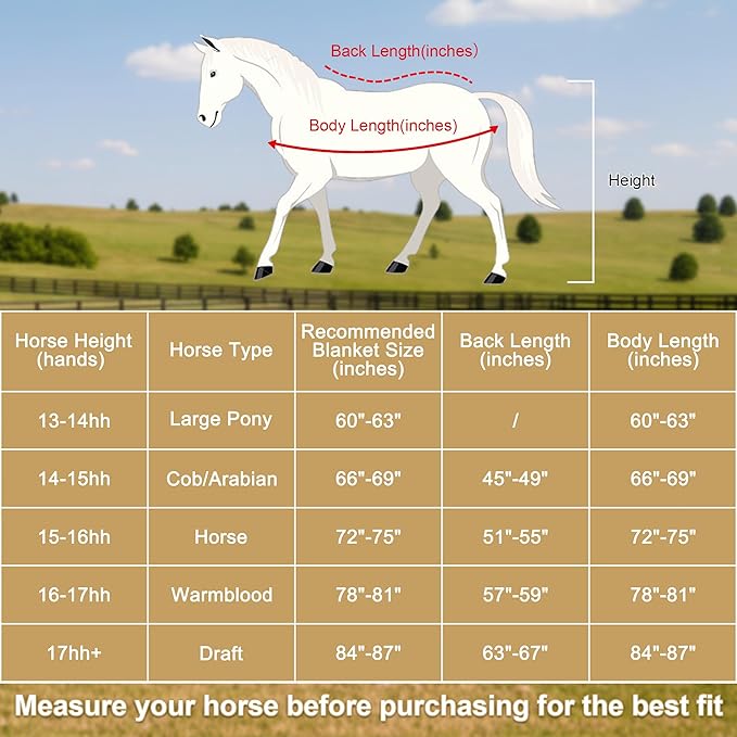 Horse Fleece Cooler, Blanket Liner - 300g Anti-Pilling Fleece, Moisture-Wicking, Cooling & Drying for Post-Workout, Bath & Travel, Prevent Overheating & Chilling Lightblue 66
