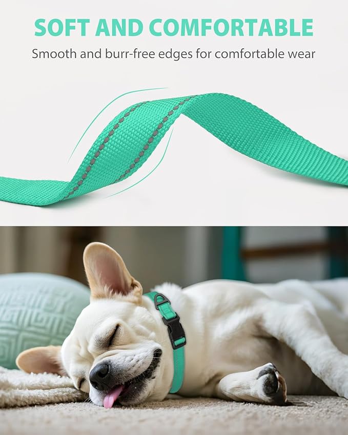 Joytale Small Dog Collar, Reflective and Adjustable Nylon Collar with Quick-Release Buckle, Lightweight No-Choke Design for Small Dogs, Teal, 5/8" Width