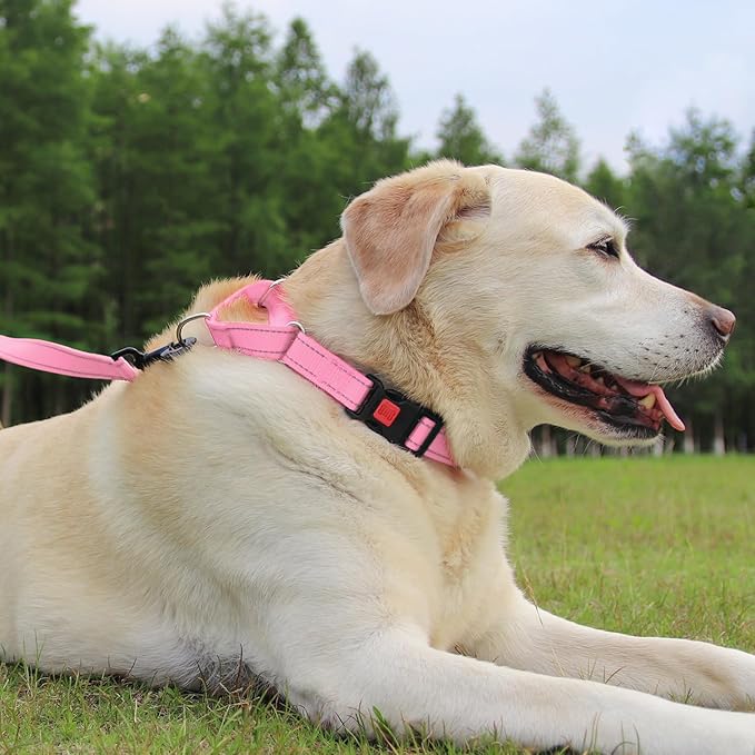 Joytale Martingale Collar for Dogs, Reflective Heavy Duty for Safety, Quick Release Buckle, Adjustable Nylon Collars for Puppy and XSmall Dogs Walking Training, Pink, XS