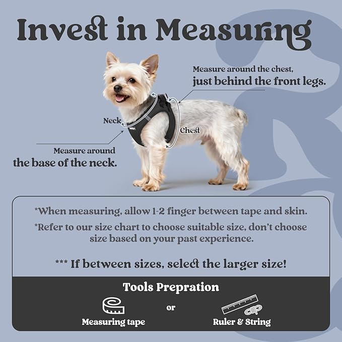 rabbitgoo Small Dog Harness, Step-in Soft Mesh Puppy Vest with Safety Buckle, Breathable Reflective Pet Harness for Small Sized Dogs, Black XS