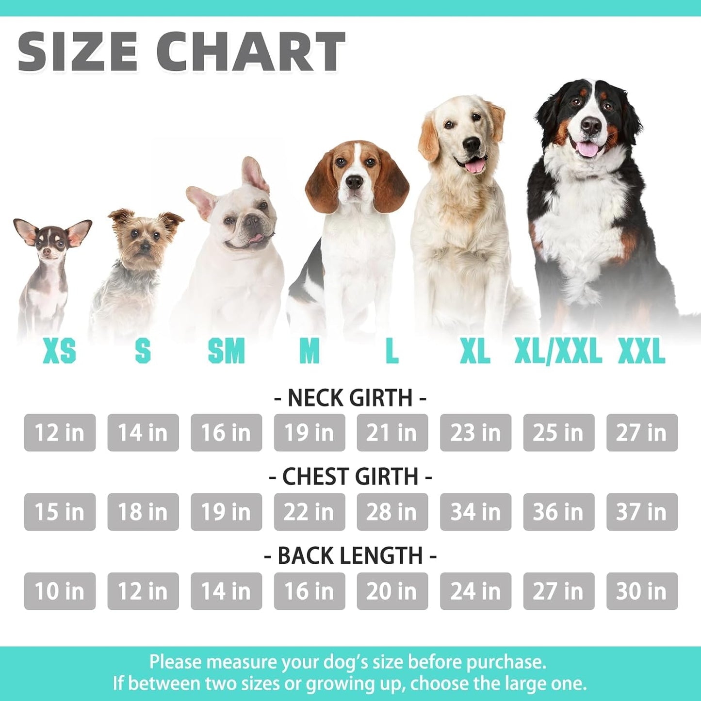 KOOLTAIL Basic Dog Hoodie - Soft and Warm Dog Hoodie Sweater with Leash Hole and Pocket, Dog Winter Coat, Cold Weather Clothes Sweatshirt for Small Medium Large Dogs Puppy Cat Boys Girls Lake Blue S