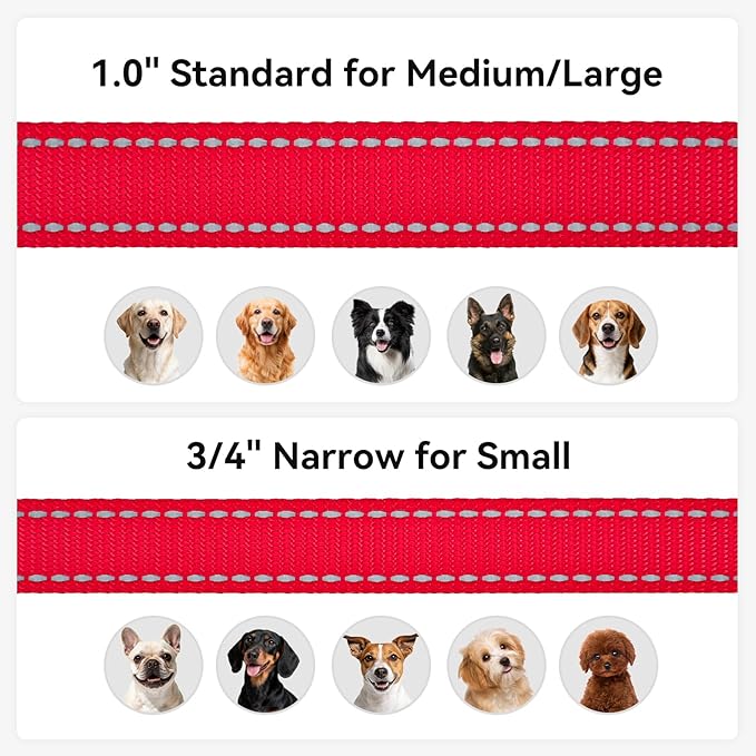 Joytale Dog Leash, 4 FT Double-Sided Reflective, Padded Handle Nylon Heavy Duty Leashes for Medium & Large Dogs Walking, Red