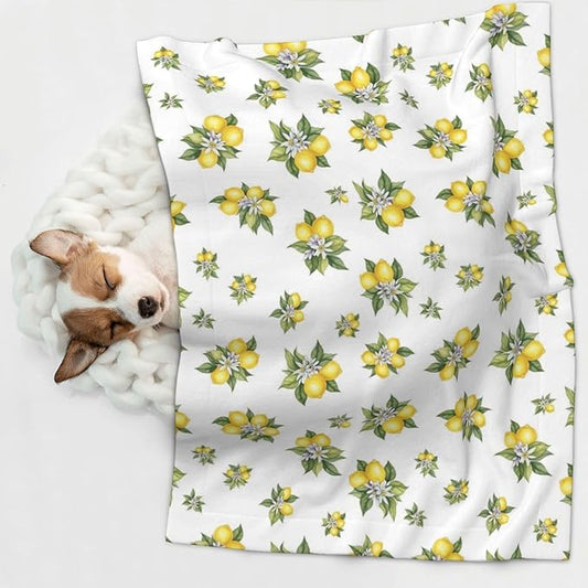 Reversible Plush Dot Pet Blanket for Dogs and Cats, Yellow Lemons Trees with Green Leaves and White Flower Summer Plant, Ultra Soft Two Sided Design with Warm Fuzzy Side and Smooth Side for Comfort