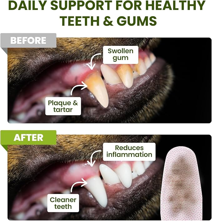 Dog Teeth Cleaning Wipes, Fresh Breath Pet Dental Finger Wipes for Dogs & Cats, Dog Dental Wipes Teeth Wipes, Lick-Safe Pet Toothbrus for Easy Removal of Tartar Buildup, Unscented, 50 PCS