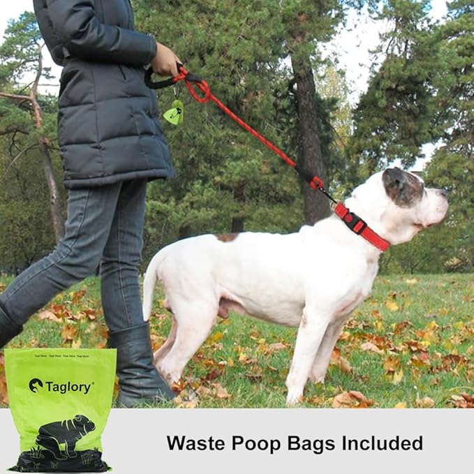 Taglory Rope Dog Leash 4 FT with Comfortable Padded Handle, Highly Reflective Threads Leash and Anti-Tangle Clip for Walking Medium Large Dogs, 1/2 inch, Red