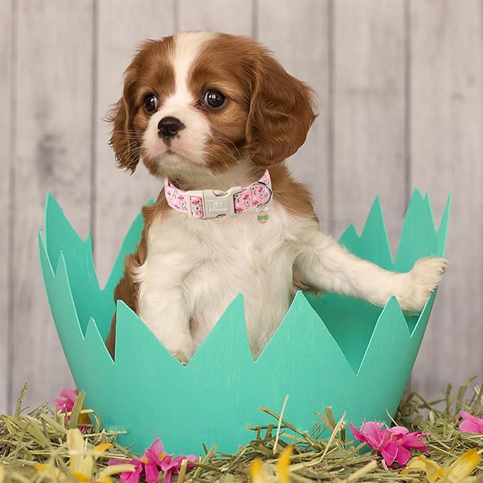 Easter Dog Collar for Small Dogs - Cowgirl Chick Easter Collars for Dogs, Pink Girl Dog Collar, Adjustable Spring Holiday Pet Collars with Quick Release Buckle S