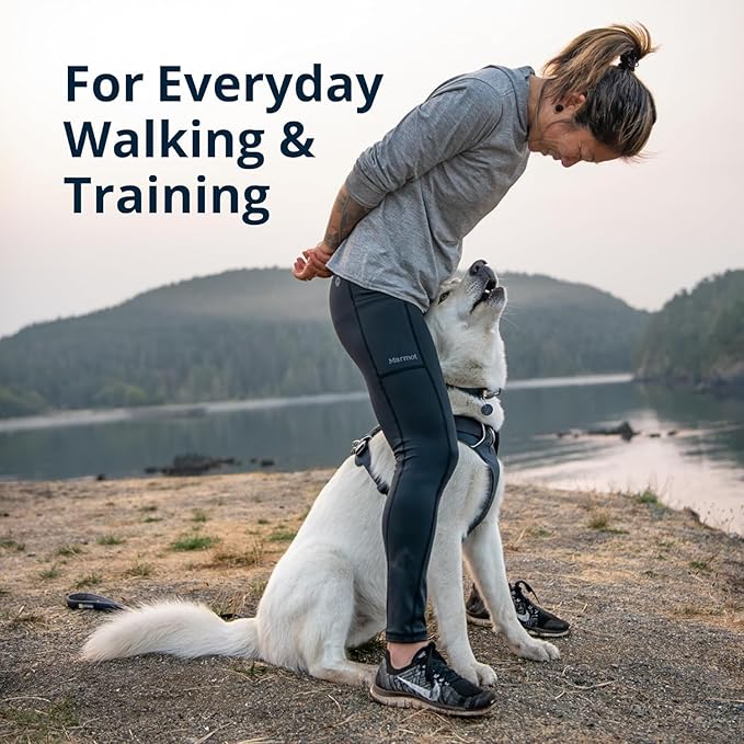 Ruffwear, Front Range Dog Harness, Reflective Soft Padded Everyday Harness with Dual Leash Clips, Adjustable and Lightweight Fit for Training or Walking for All Dogs, Blue Pool, Medium