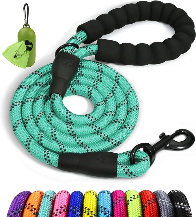 Taglory Rope Dog Leash 5 FT with Comfortable Padded Handle, Highly Reflective Threads Leash and Anti-Tangle Clip for Walking Small Dogs, 3/8 inch, Turquoise
