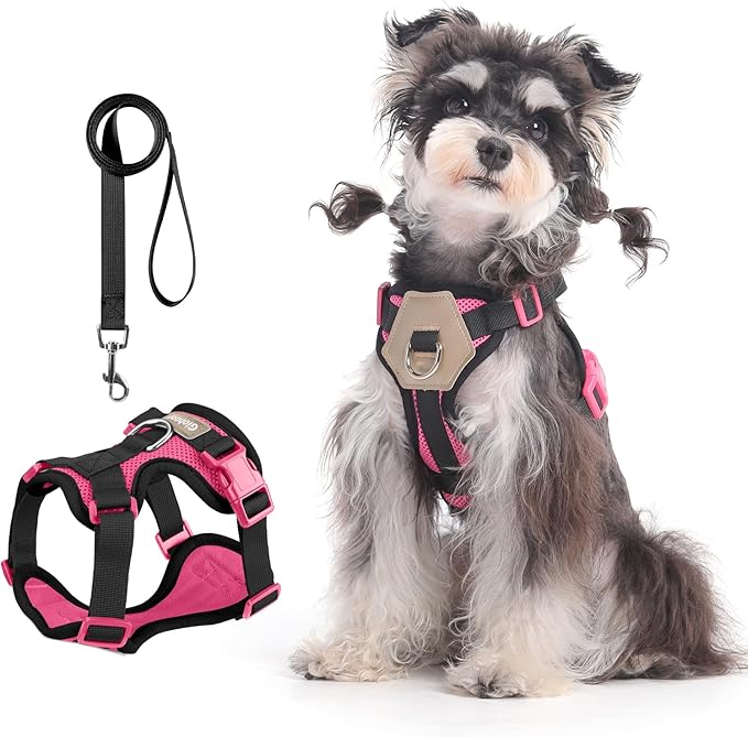 Small Dog Harness and Leash Set, Breathable Mesh Puppy Harness, Adjustable Dog Harness for Small Medium Large Dogs, No-Pull Pet Harness for Daily Walking (Hotpink, X-Large)