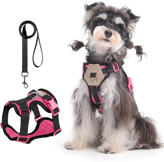 Small Dog Harness and Leash Set, Breathable Mesh Puppy Harness, Adjustable Dog Harness for Small Medium Large Dogs, No-Pull Pet Harness for Daily Walking (Hotpink, X-Large)