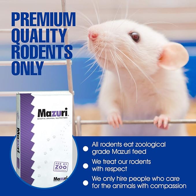 MIceDirect Frozen Mice Combo Pack of 20 Fuzzie & Hopper Feeder Mice – 10 Fuzzies & 10 Hoppers - Food for Corn Snakes, Ball Pythons, & Pet Reptiles - Snake Feed Supplies