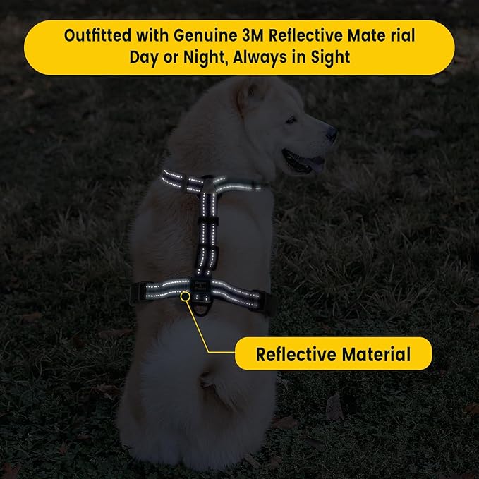 Roses&Poetry Dog Harness Large Breed, Adjustable No Pull Vest Harness and Leash Set, Reflective Puppy Harnesses with Comfort Padded Handle for Pet Training Outdoor Walking（Gsky-XL