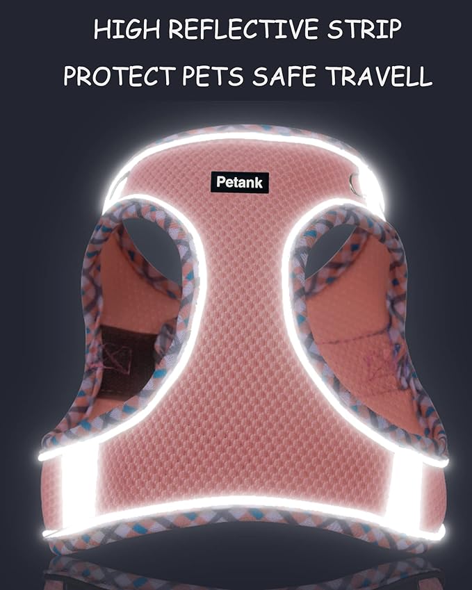 Petank Dog Harness for Small Medium Dogs No Pull, Puppy Harness and Leash Set, Step in Dog Harness for Walking, Running, Training, Small Dog Vest, Medium Dog Vest (Purple, XXS)