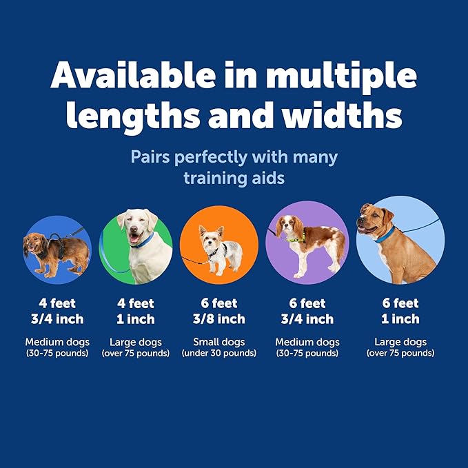 PetSafe Nylon Leash - Helps Maintain Secure Connection on Walks - Durable Pet Leash with Easy Clip - 1 in. x 4 ft. - Black