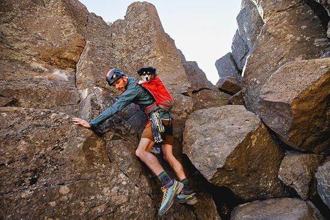 Ruffwear, Hitch Hiker Dog Backpack Carrier, Hands-Free Dog Carrier Backpack with Breathable Mesh, EVA Foam Padding, Durable Polyester, Lightweight Design for Small Dogs, Basalt Gray, XX-Small