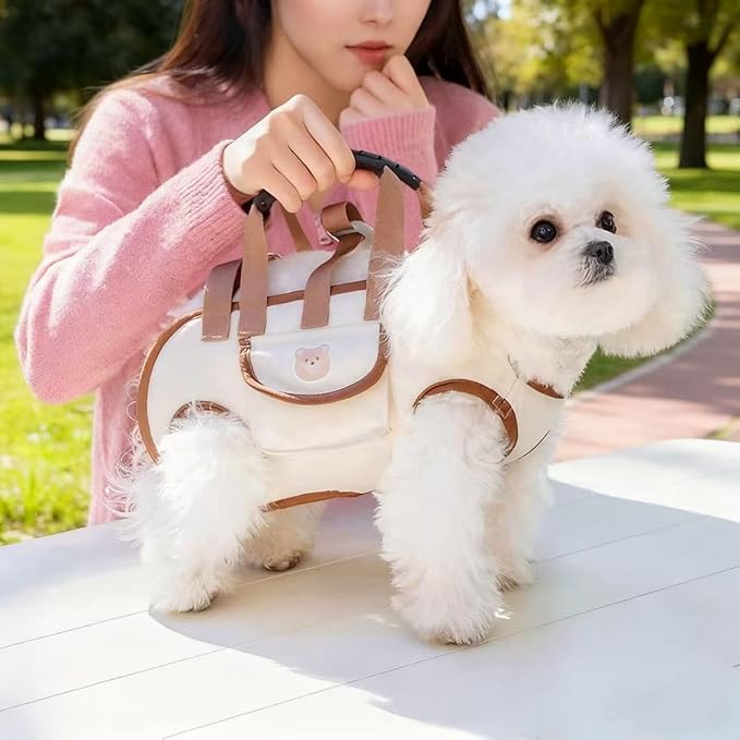 Portable Small Dog & Cat Pet Carrier Sling & Backpack for Small Dogs & Cats & Puppy, Dog & Pet Purse Bag Carrier Sling for Small Dogs with Dog Traction Leash, Crossbody Sling Carriers (Orange M)