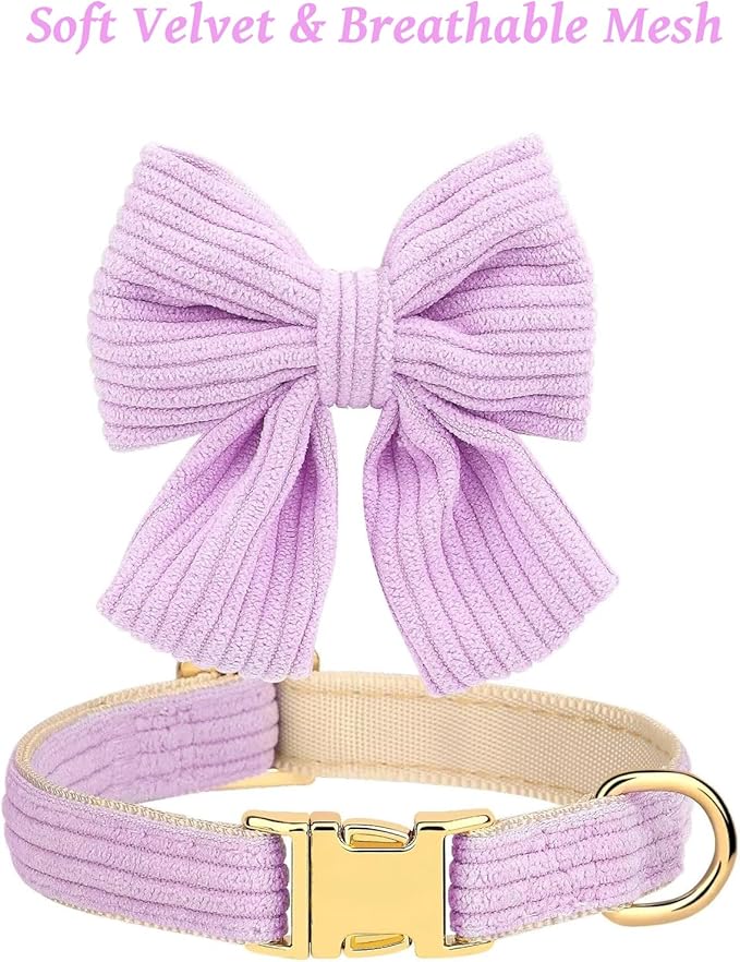 Dog Collar and Leash Set with Bowtie, Girl Dog Collars Metal Buckle Adjustable for Small Medium Dogs (Purple, M: Neck 13"-22" Leash 5 FT)