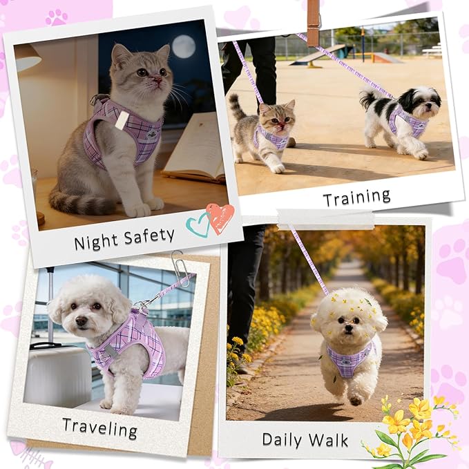 Gyuzh No Pull Dog Harness - 3-in-1 Step in Harness Collar Leash Set for Small Dog Walking & Training, Easy Walk Style, Lightweight Plaid Vest (Purple, M)