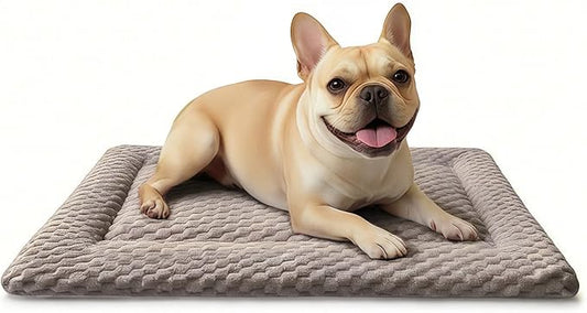 Dog Bed Mat, Dual-Sided Dog Crate Bed Mat - Ultra Soft & Machine Washable Kennel Pad for Small Dogs, All-Season Comfort Pet Bed for Crates, Travel, and Home, Light Brown, 24 x 16 Inch