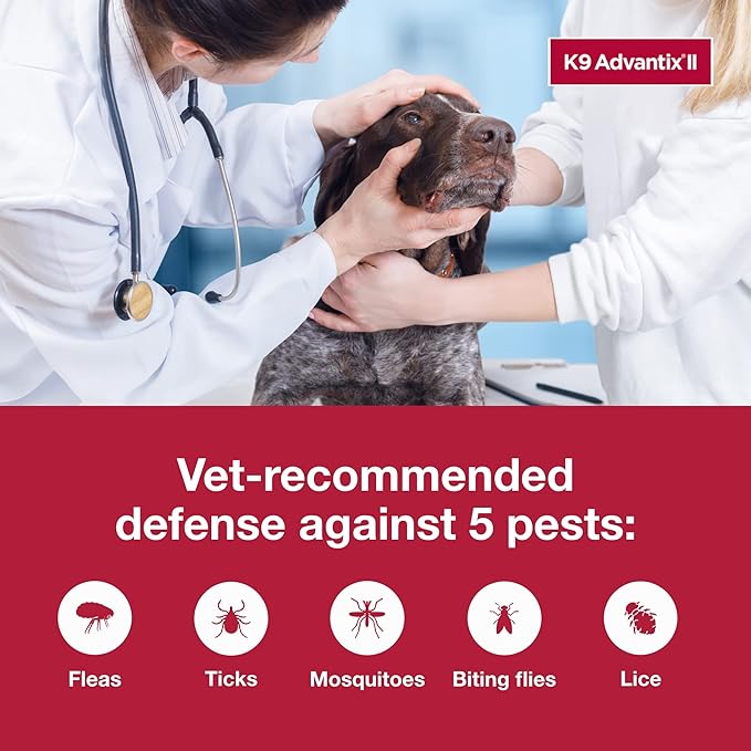 K9 Advantix II XL Dog Vet-Recommended Flea, Tick & Mosquito Treatment & Prevention | Dogs Over 55 lbs. | 1-Mo Supply (Pack of 3)