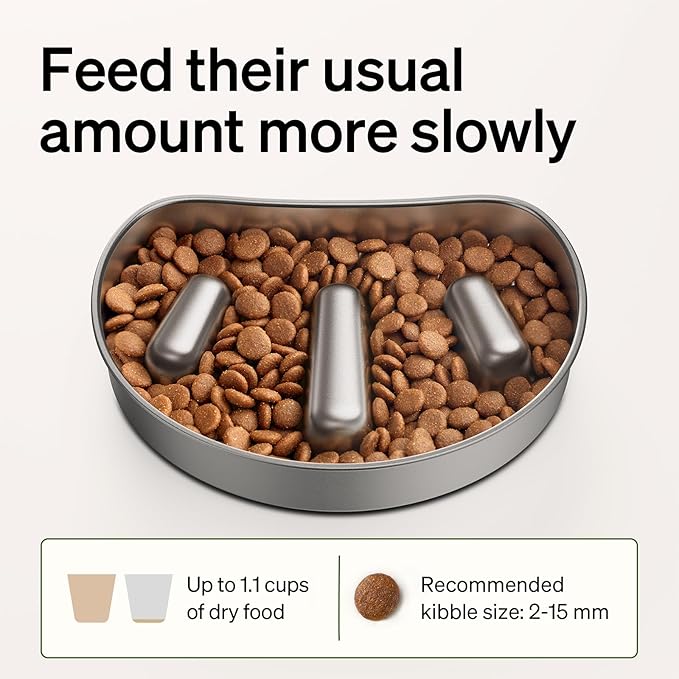 Bundle of PETLIBRO Automatic Cat Feeder with Camera, 1080P HD Video with Night Vision + PETLIBRO Slow Feeder Bowl for Small Dogs & Cats, 1.125 Cup— Anti-Gulp Stainless Steel Dog & Cat Bowl