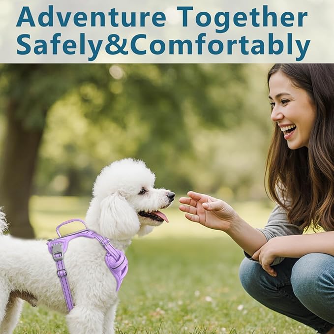 BARKBAY Dog Harness No Pull with ID Tag Pocket - Heavy Duty, Reflective, Easy Control for Large Dogs(Violet Purple,S)