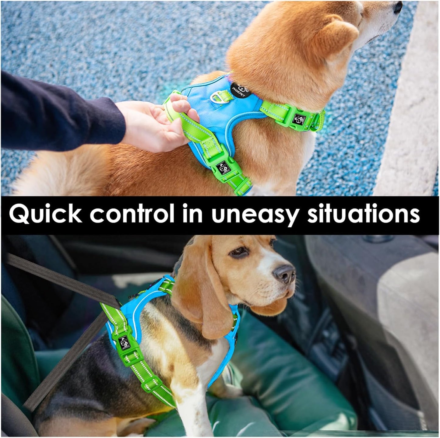 PHOEPET No Pull Dog Harness, Unique Colors Reflective Adjustable Dog Vest, with Soft Training Handle Metal Clips for Small Medium Large Dogs (Blue Base & Green Straps,XL)