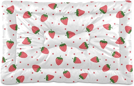 Pet Bed Strawberry Fruit Dog Bed Mat Absorbing Non Slip Pad Pet Sleeping Mat for Small, Medium, and Large Dogs Puppy Cat 36 in x 24 in