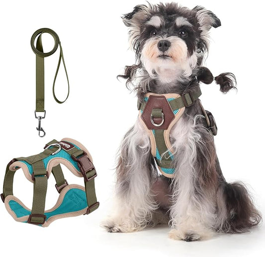 Small Dog Harness and Leash Set, Breathable Mesh Puppy Harness, Adjustable Dog Harness for Small Medium Large Dogs, No-Pull Pet Harness for Daily Walking (Lakeblue, Small)