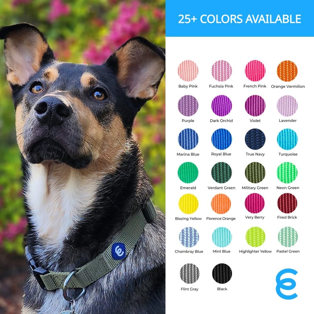 Blueberry Pet Dog Collar for Large Dogs | Adjustable, Comfortable, Stylish & Sturdy | Essentials Dog Collars for Small Dogs | High-Density Nylon with Eco-Friendly Buckles & Steel D-Ring