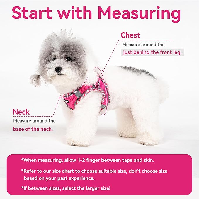 Petank Dog Harness for Small Medium Dogs No Pull, Puppy Harness and Leash Set for Walking, Running, Training, Small Dog Harness, Medium Dog Harness (Yellow, XS)