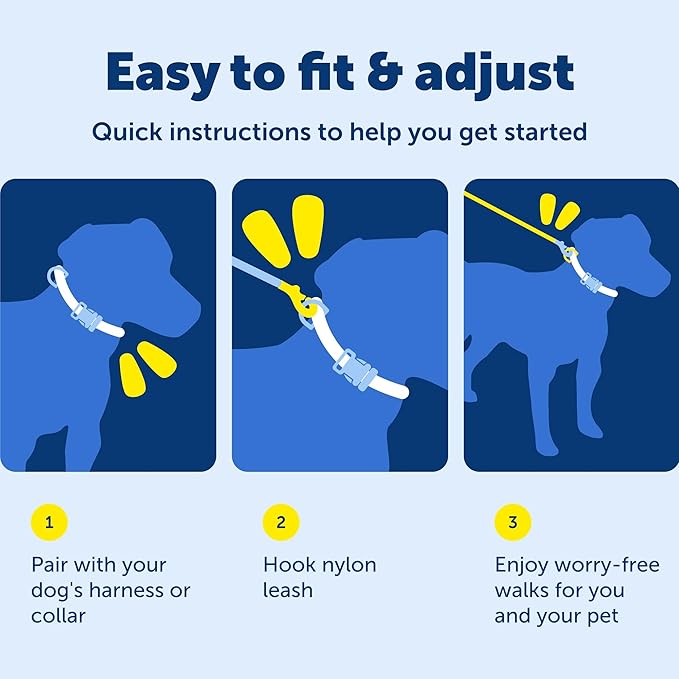 PetSafe Nylon Leash - Helps Maintain Secure Connection on Walks - Durable Pet Leash with Easy Clip - 1 in. x 4 ft. - Black