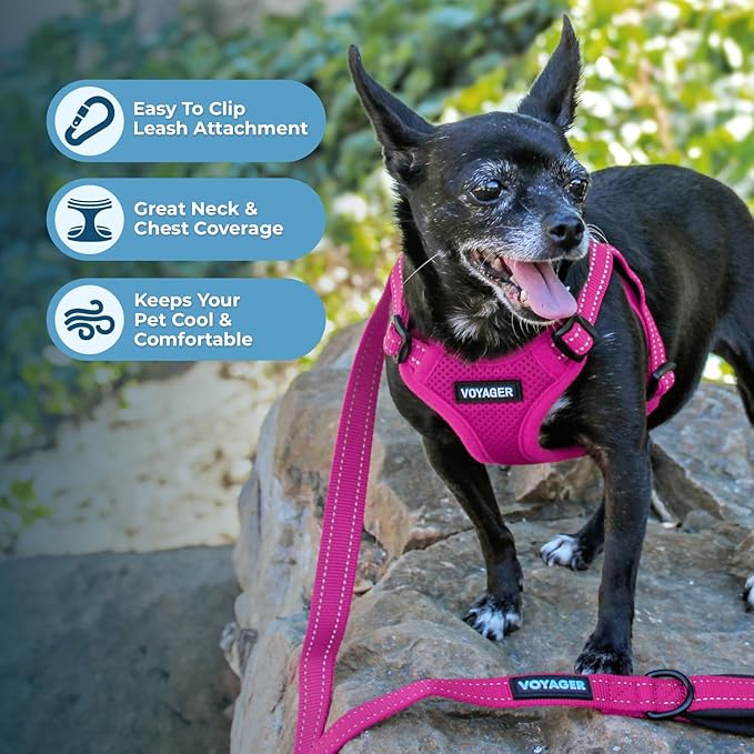 Best Pet Supplies Voyager Adjustable Step-in Flex Breathable Mesh Dog Harness for Small Medium Large Dogs Leash Set (Fuchsia), L