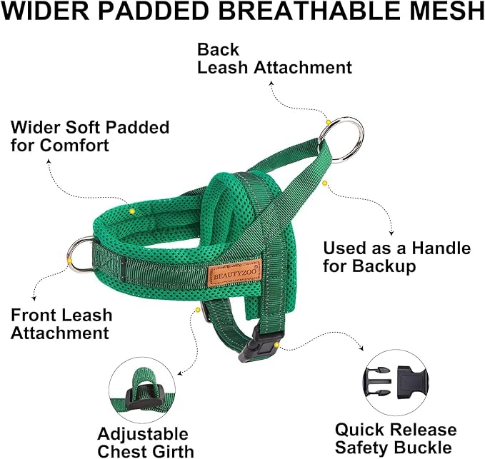 BEAUTYZOO Dog Harness for Small Dogs, No Pull Dog Harness and Leash Set, Soft Escape Proof Puppy Vest Harness with Handle, Reflective Lightweight Step in Harness for Girl Boy Dogs, Green S