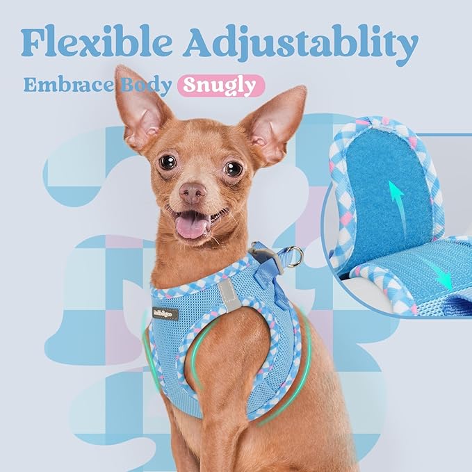 rabbitgoo Small Dog Harness, Step-in Soft Mesh Puppy Vest with Safety Buckle, Breathable Reflective Pet Harness for Small Sized Dogs, Blue & Plaid Trim XS