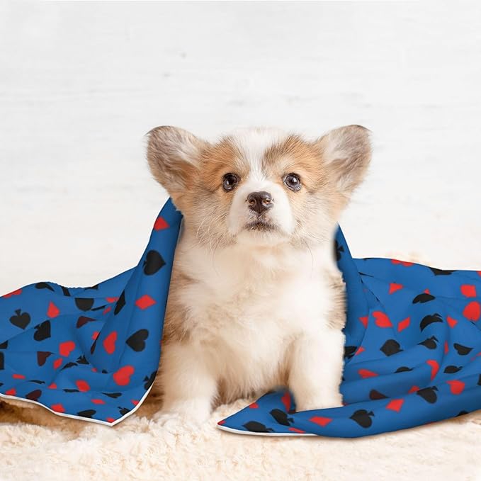 Pet Blanket for Couches and Beds, Poker Playing Cards, Reversible Double Sided Plush Design with Soft Bumpy Texture and Smooth Surface, Furniture Protector