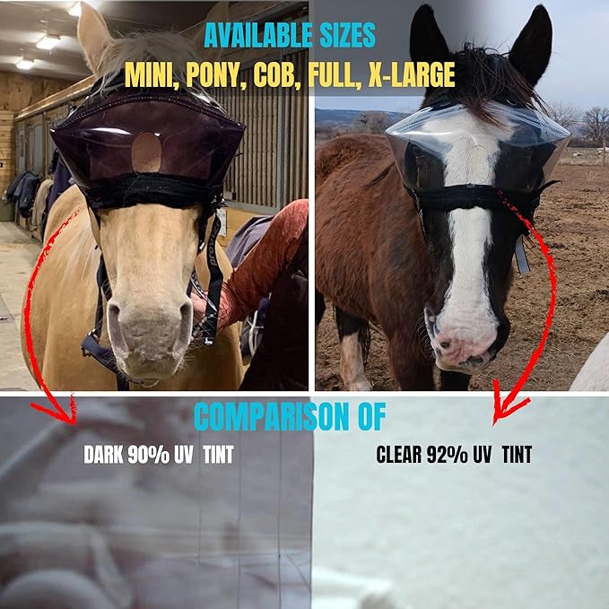 Recovery Vizor, (Size Pony - Clear UV Tint) Medical/Preventative Horse Eye (Goggle) Protection for Uveitis/Injury/Scratch or Corneal Ulcer, Infection, Blindness, Photsensitivity