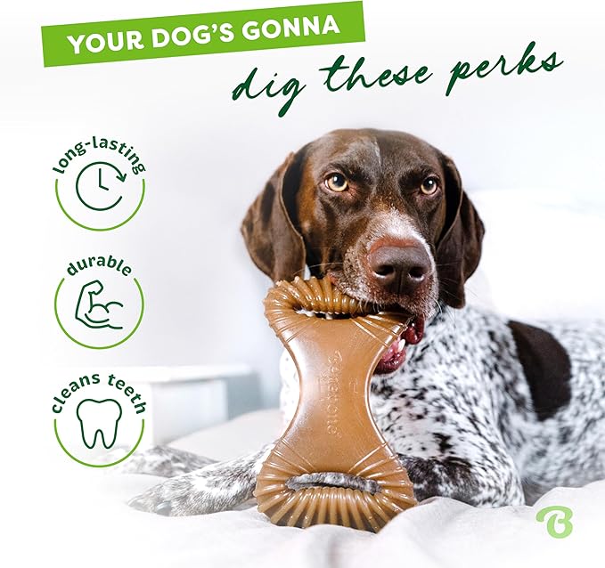 Benebone Dental Durable Dog Chew Toy for Aggressive Chewers, Real Peanut, Made in USA, Large